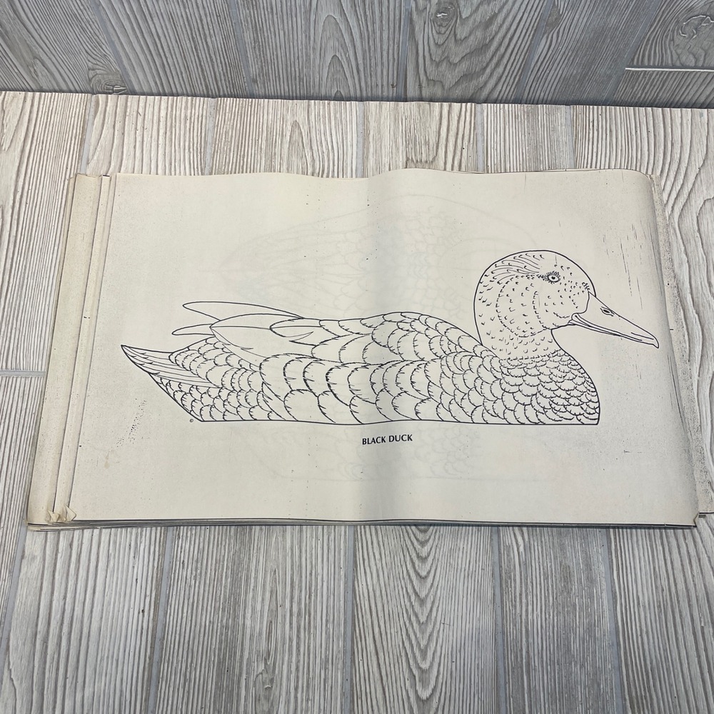 Belleville Area Holzschnitzers Duck Decoy Carving Patterns Lot of 22 Waterfowl